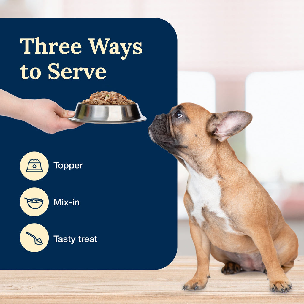 (3 pack) Blue Buffalo Delectables Natural Wet Dog Food Topper Variety Pack, Lamb & Turkey Dinner 3oz (12 Pack - 6 of Each Flavor)