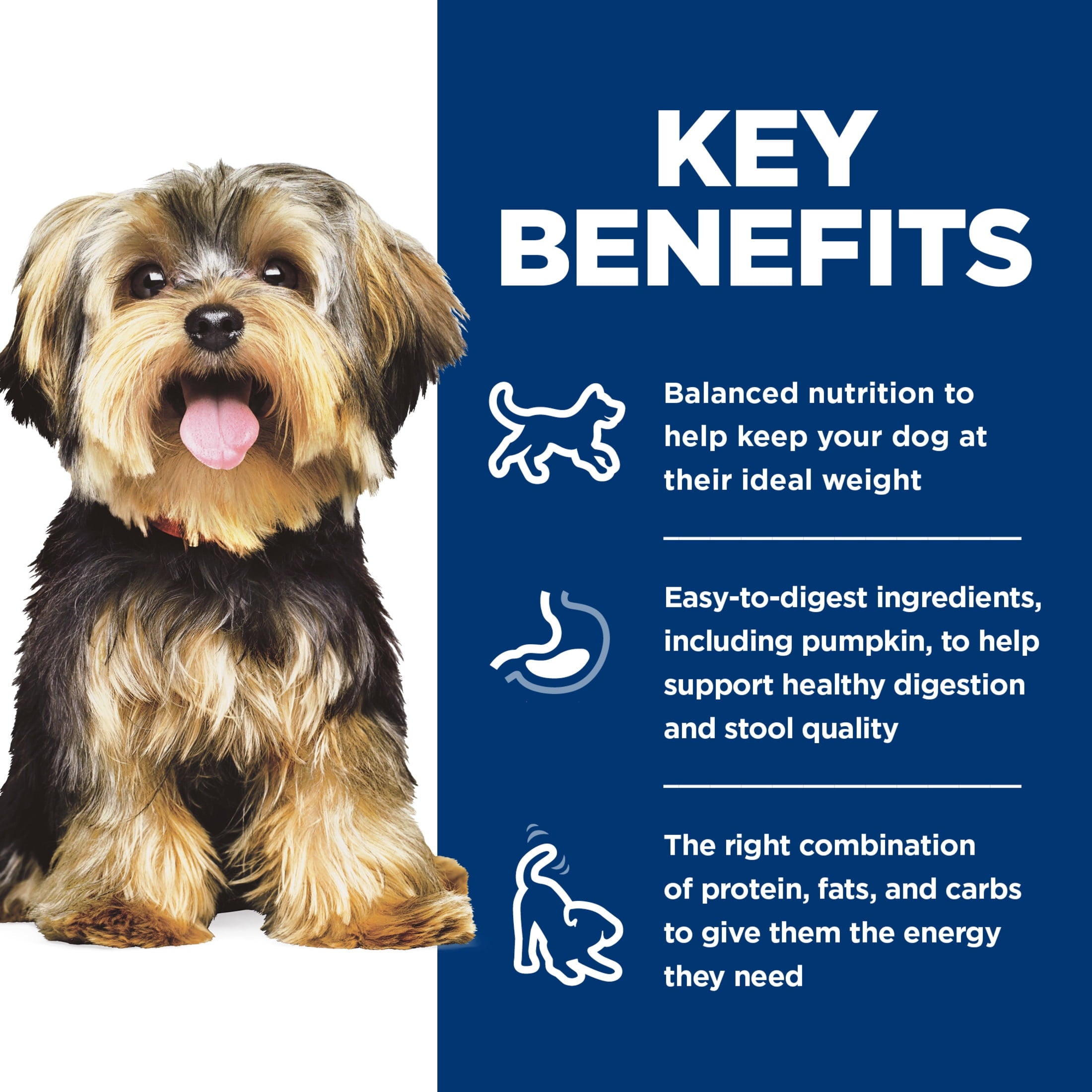 Hill's Science Diet Small & Mini Chicken & Barley Wet Dog Food, 5.8oz Can 24pk