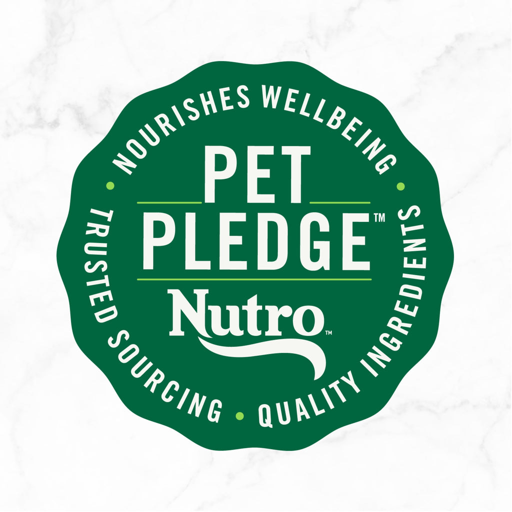 (3 pack) Nutro So Simple Chicken Recipe In Bone Broth Wet Dog Meal Complement, 2 Oz Tray