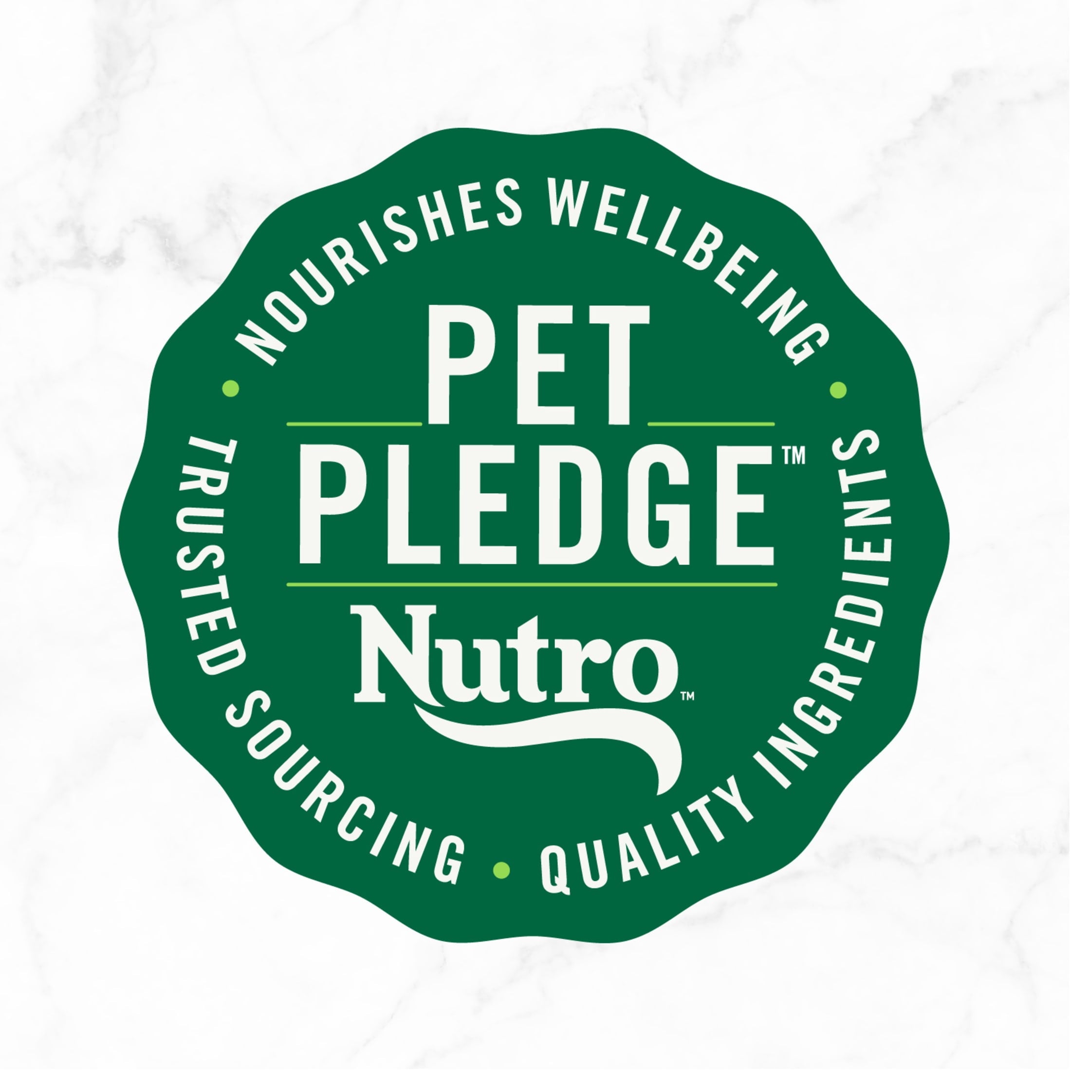 (3 pack) Nutro So Simple Chicken Recipe In Bone Broth Wet Dog Meal Complement, 2 Oz Tray