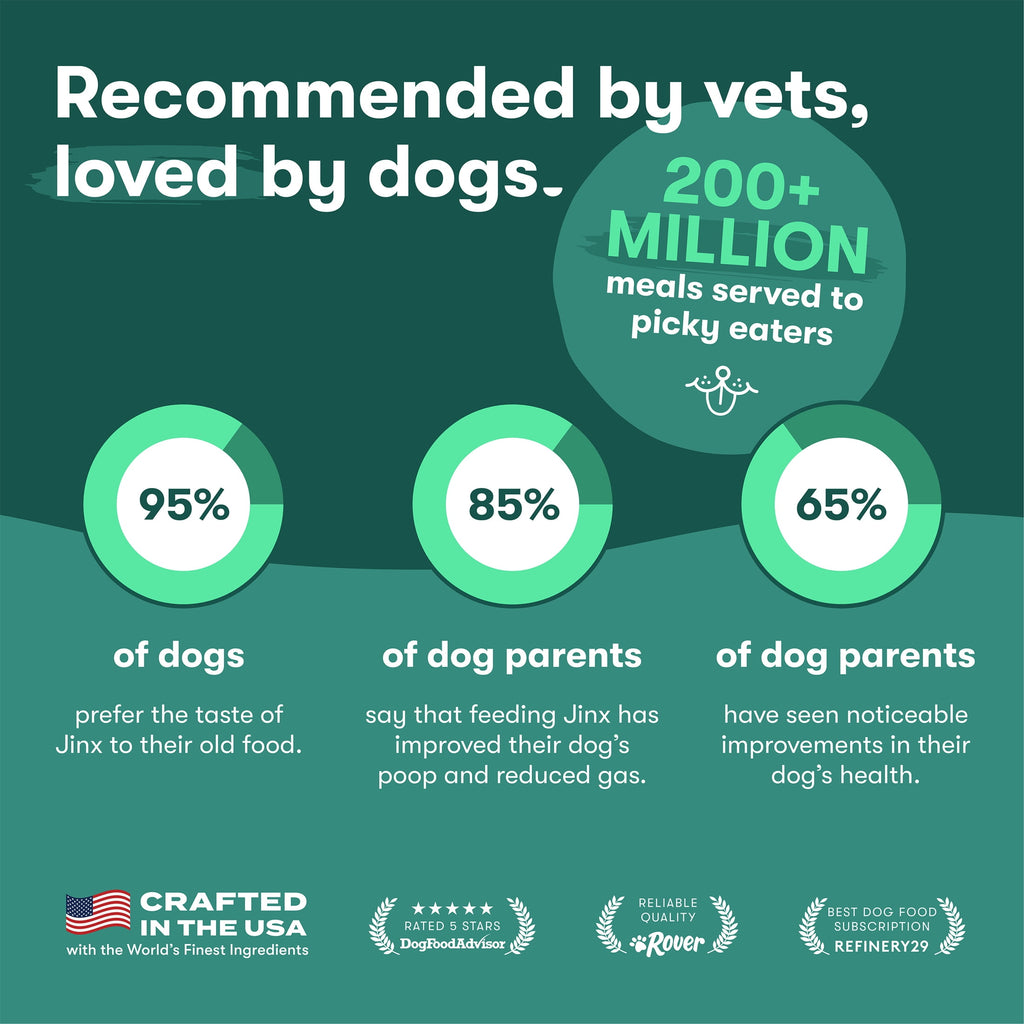 (6 pack) Jinx Homemades Chicken Recipe Wet Natural Dog Food, 9 oz. Pouch