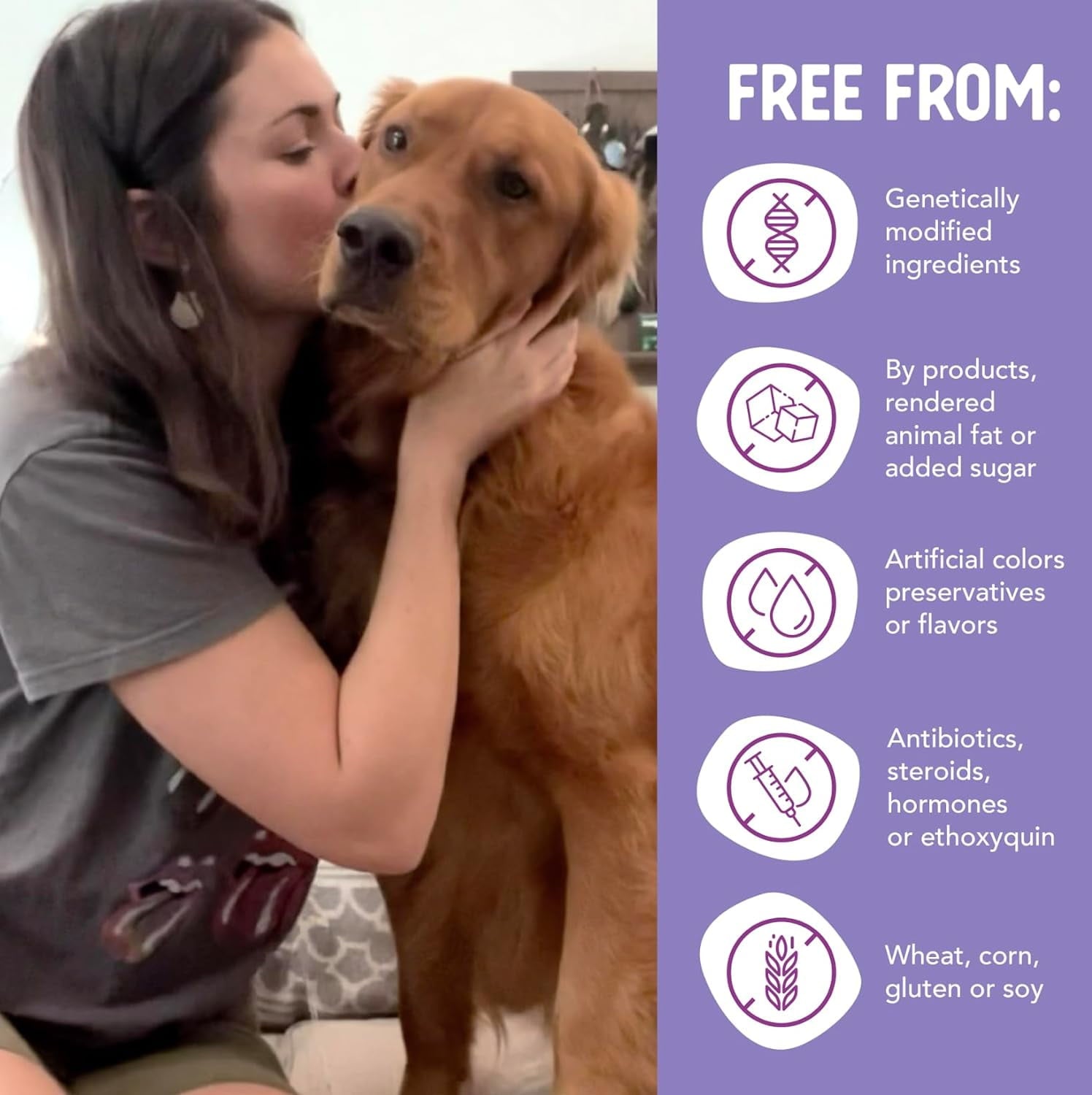 Health Extension Wet Dog Food Little Cups Small Breed Variety Box Chicken & Turkey Recipe (3.5 Oz) | All Life Stages | Added Vitamins & Minerals