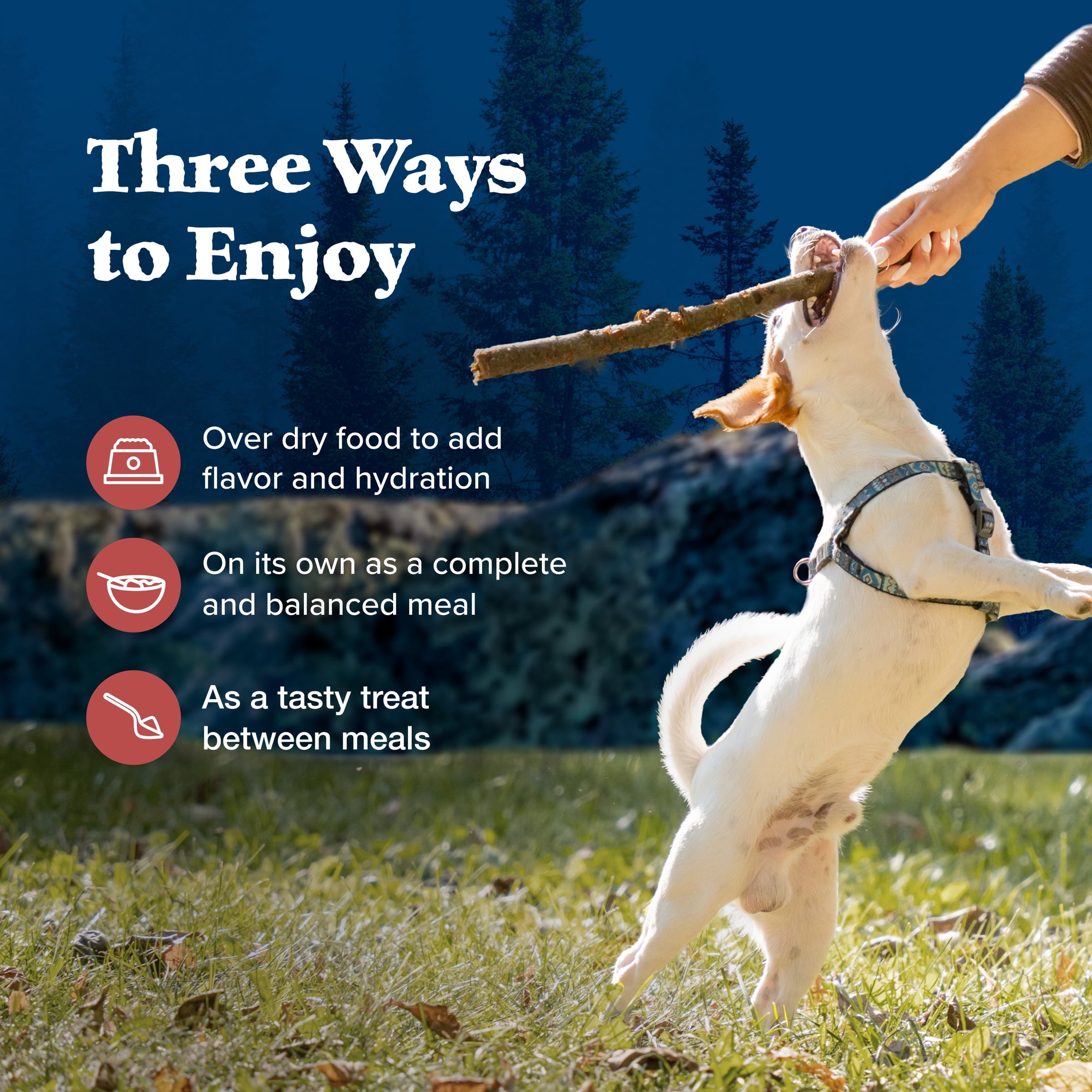 Blue Buffalo Wilderness Rocky Mountain Recipe High Protein Red Meat Wet Dog Food for Adult Dogs, Grain-Free, 12.5 oz. Can