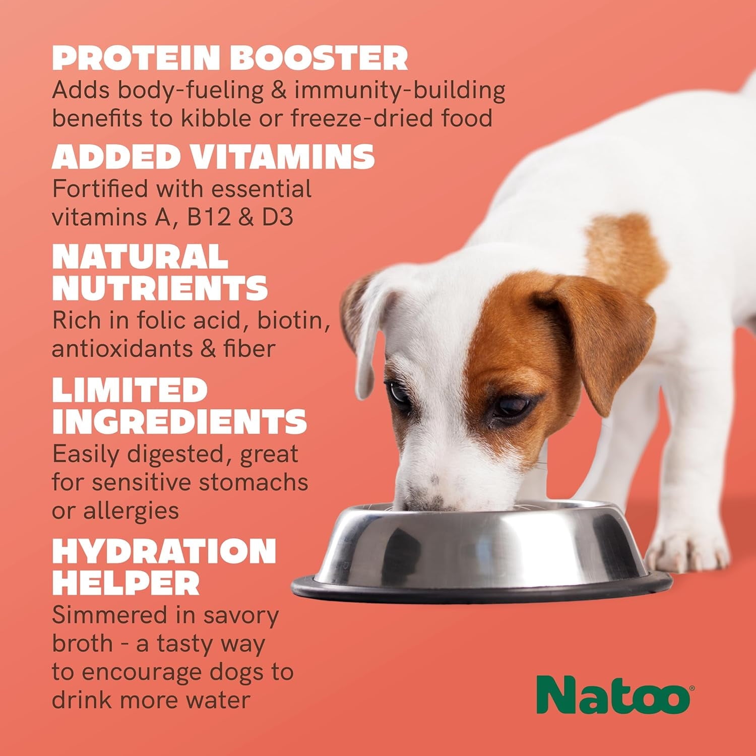 NATOO Dog Food Topper for Picky Eaters & Dog Treat (Salmon & Brown Rice), Wet Meal Enhancer for Adults & Puppies, Limited Ingredient, 3 oz (Case of 20)