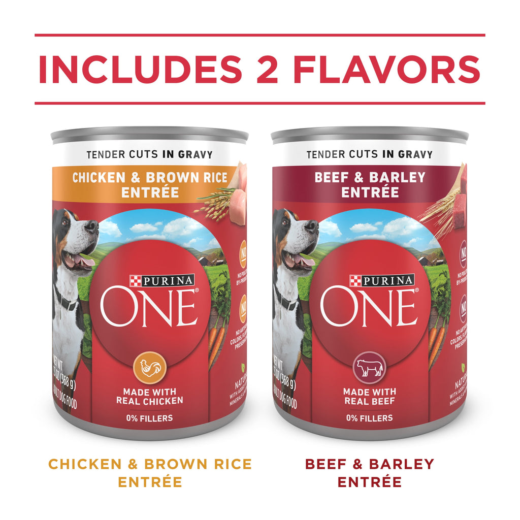 (12 Pack) Purina ONE Tender Cuts in Gravy Chicken and Brown Rice and Beef and Barley Entrees High Protein Wet Dog Food Variety Pack, 13 oz.