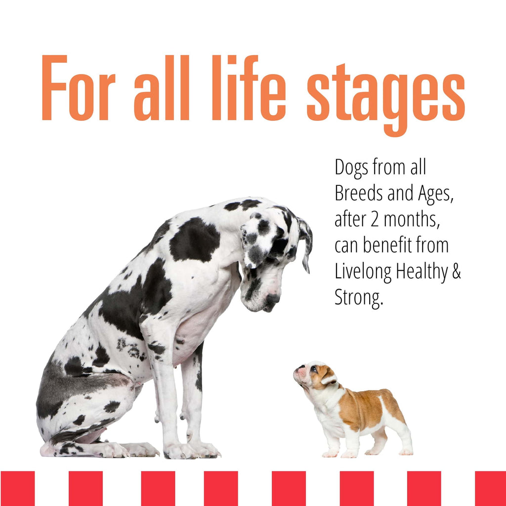 Livelong Healthy & Strong: 12 Pack: Salmon & Sweet Potato Recipe - 12.5oz Cans, Wet Dog Food, High Protein, All Natural, No Preservatives,
