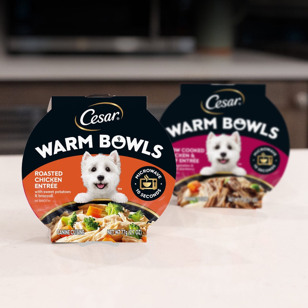 Cesar Warm Bowls Wet Dog Food Roasted Chicken Entrée, 2.7 Oz. Trays, 10-Pack