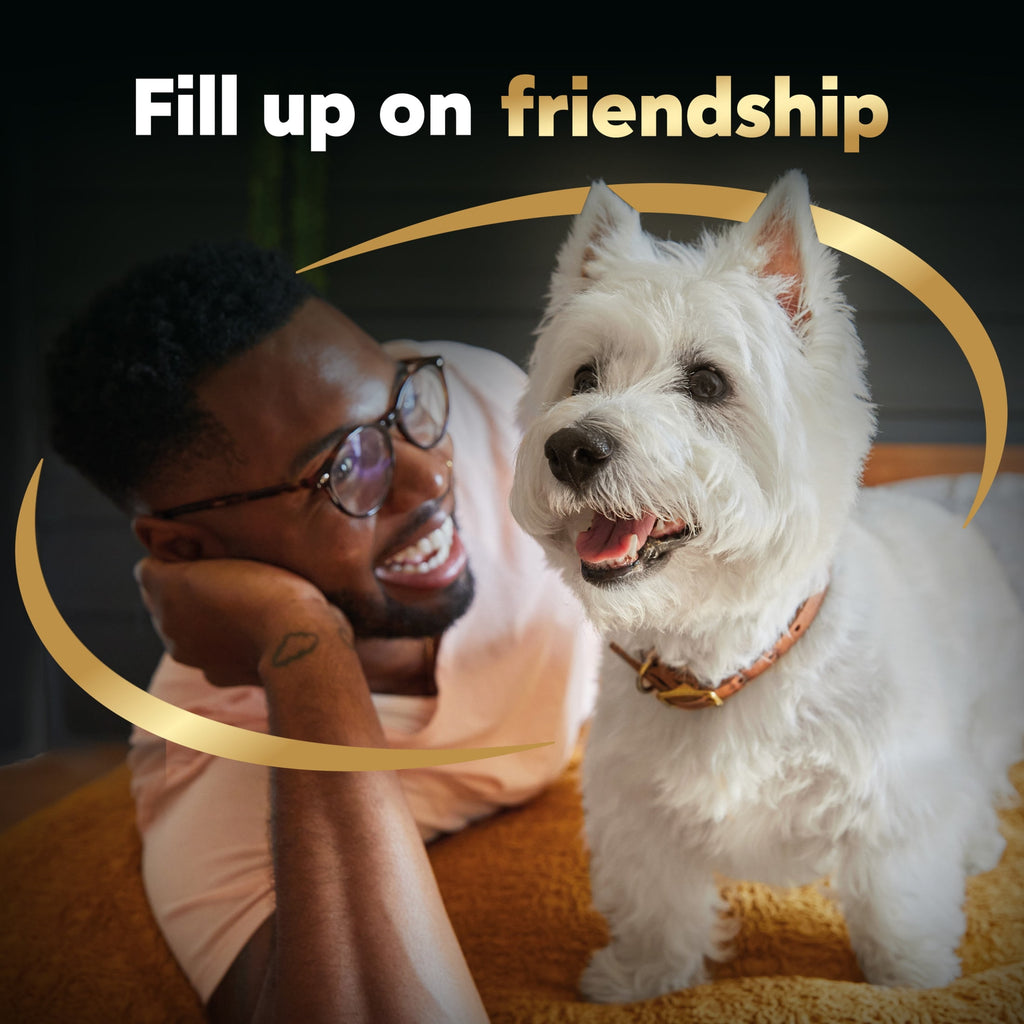 Cesar Classic Loaf In Sauce Turkey Recipe Wet Dog Food Adult, 3.5 Oz. Easy Peel Tray