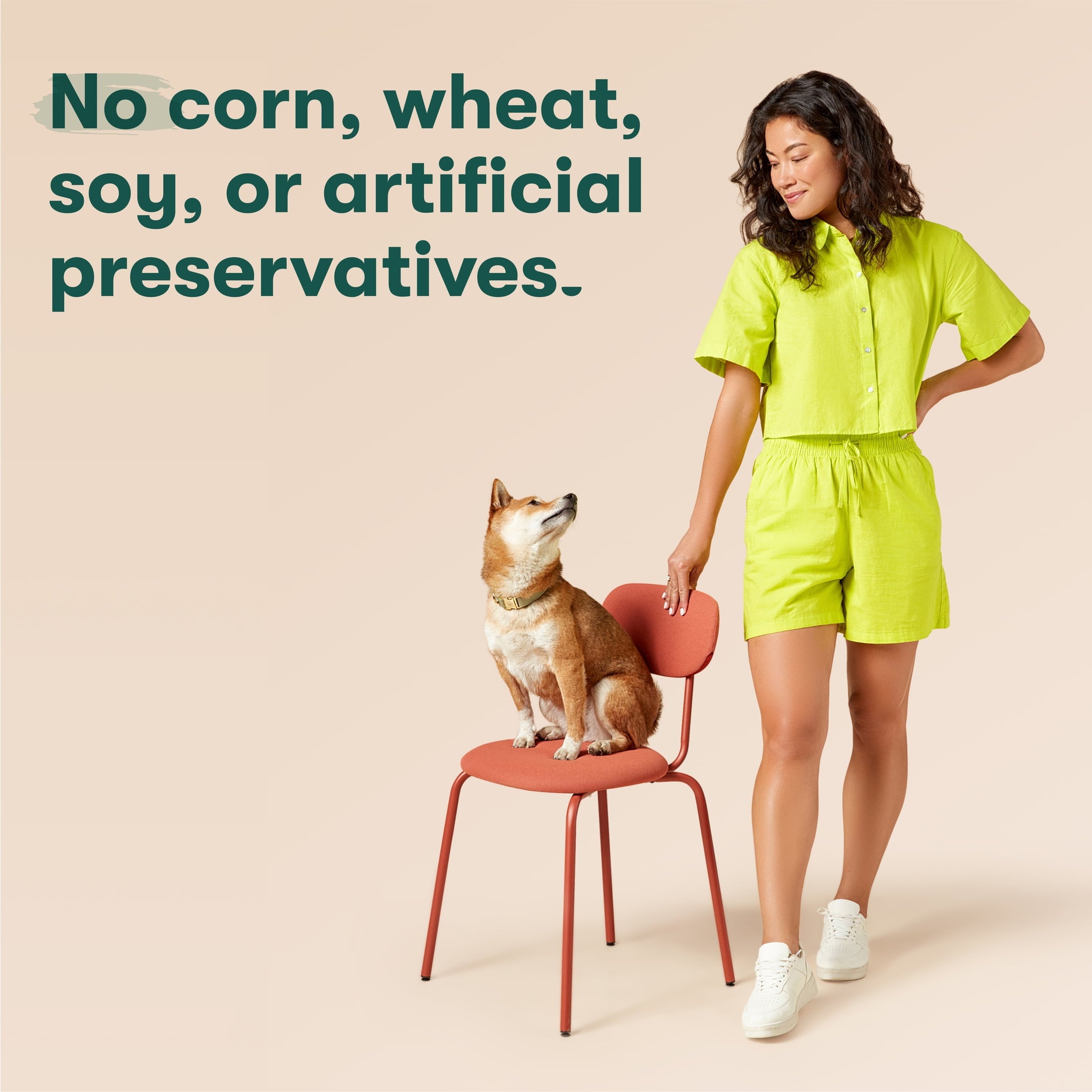 (6 pack) Jinx Homemades Chicken Recipe Wet Natural Dog Food, 9 oz. Pouch