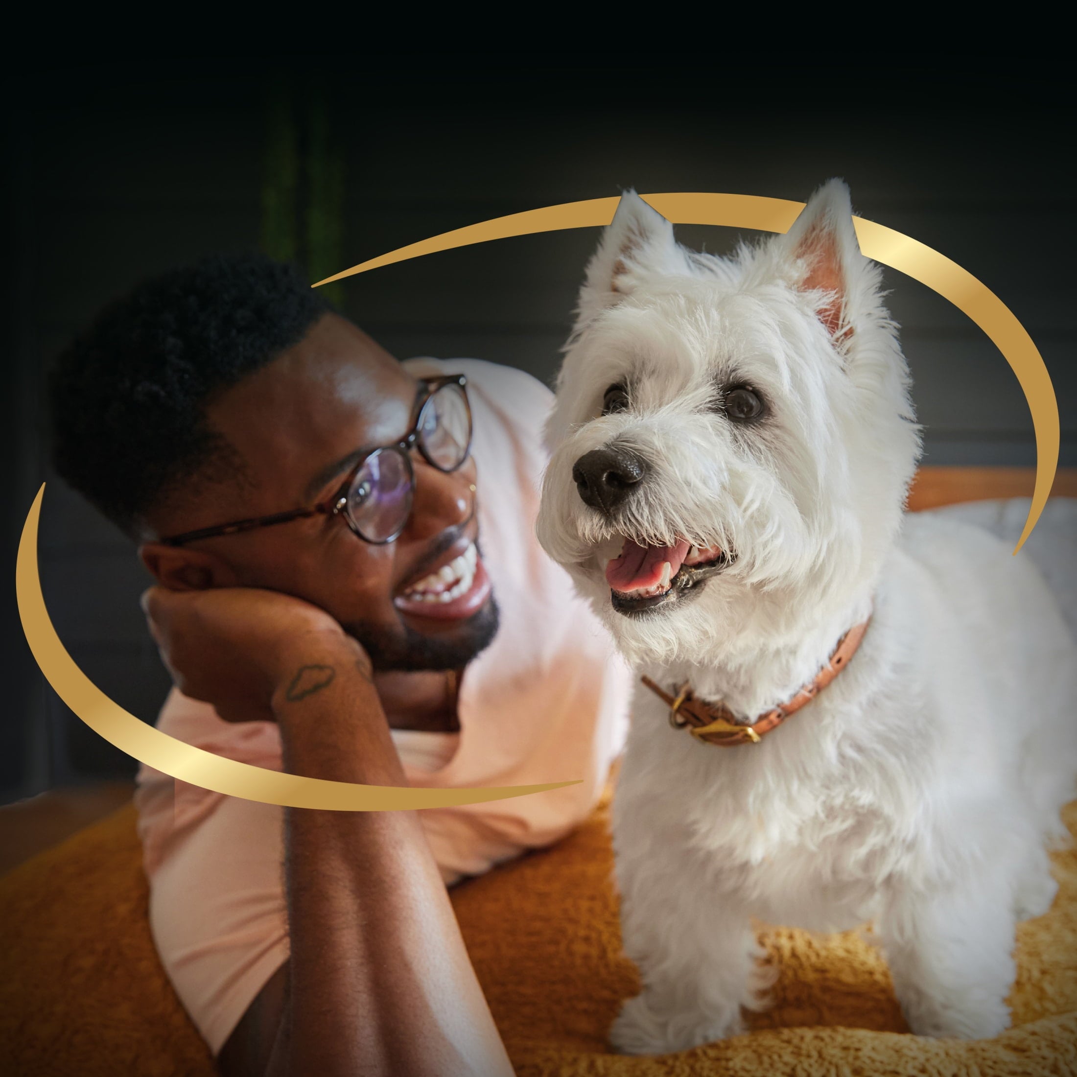 Cesar Classic Loaf In Sauce Turkey Recipe Wet Dog Food Adult, 3.5 Oz. Easy Peel Tray