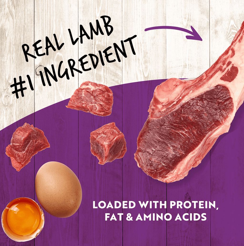 Earthborn Holistic Grain Free K95 Meat Protein Wet Dog Food Lamb, 13 oz