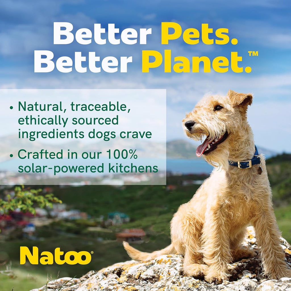 NATOO Dog Food Topper for Picky Eaters & Dog Treat (Salmon & Brown Rice), Wet Meal Enhancer for Adults & Puppies, Limited Ingredient, 3 oz (Case of 20)