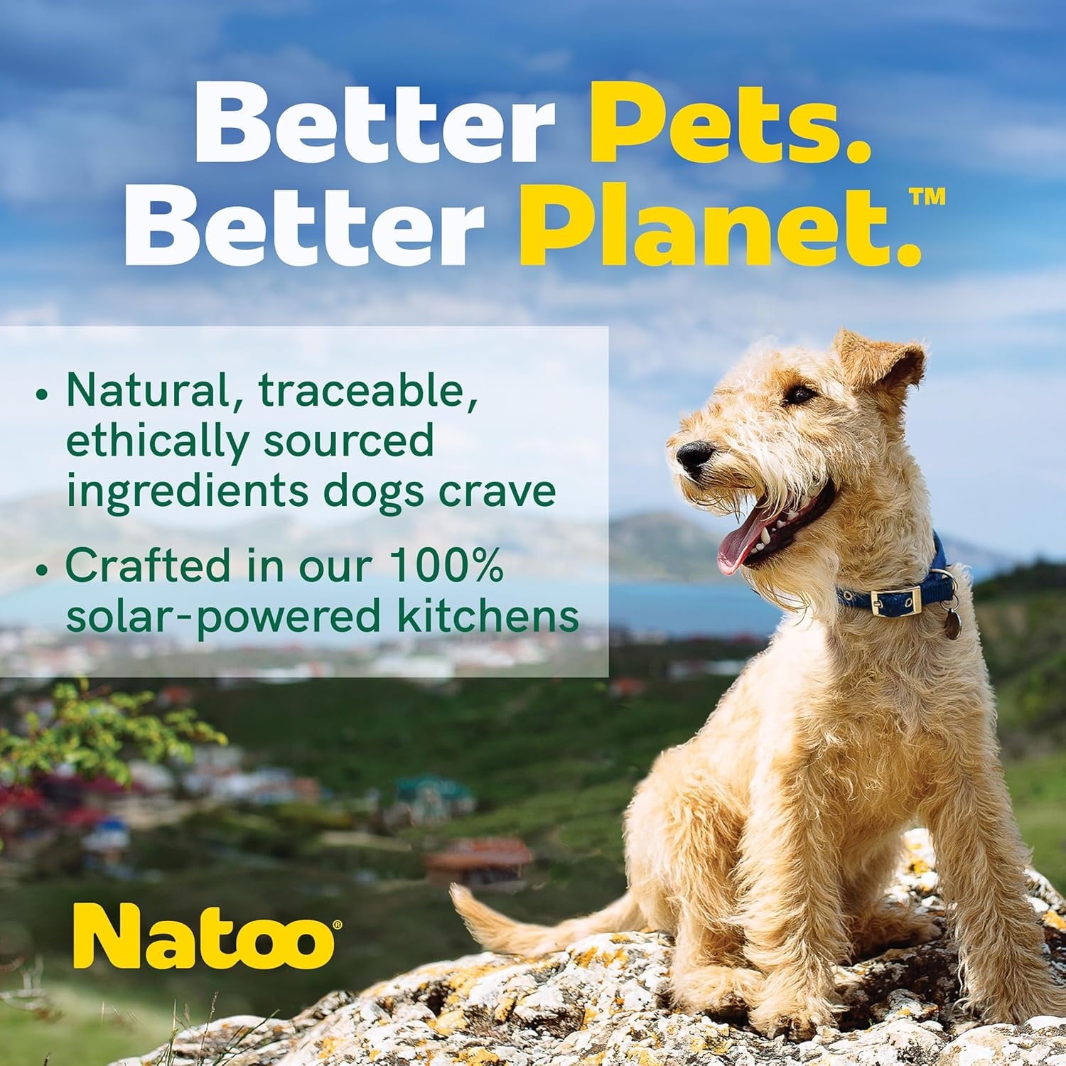 NATOO Dog Food Topper for Picky Eaters & Dog Treat (Salmon & Brown Rice), Wet Meal Enhancer for Adults & Puppies, Limited Ingredient, 3 oz (Case of 20)