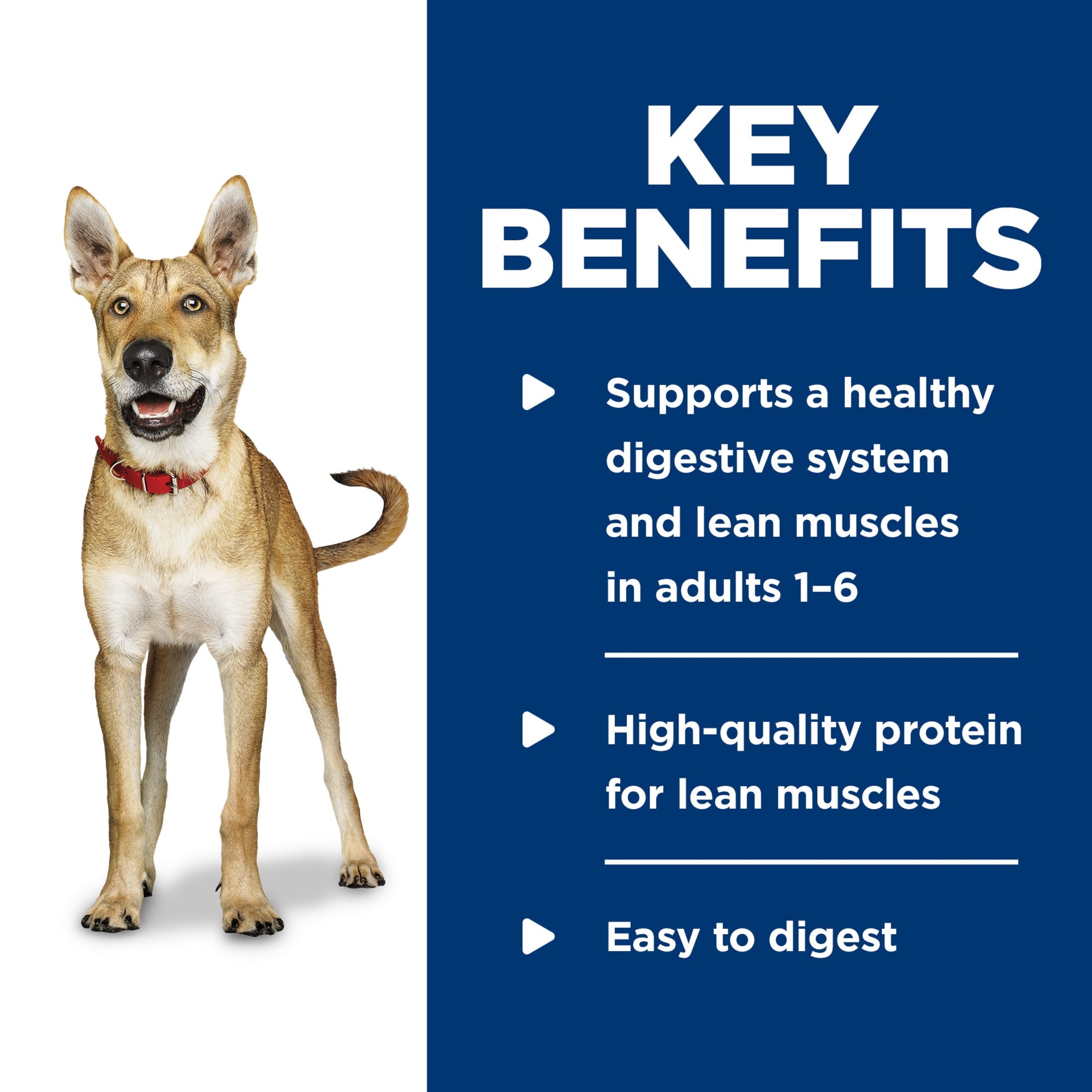 Hill's Science Diet Beef & Barley Wet Dog Food, 5.8oz Can 24pk