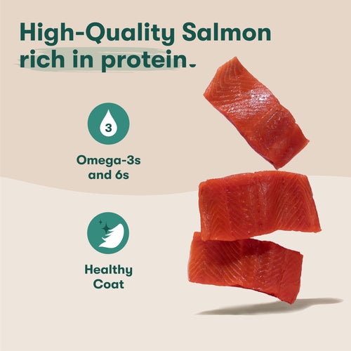 (12 pack) Jinx Homemades Chicken & Salmon Topper,3oz.Pouch