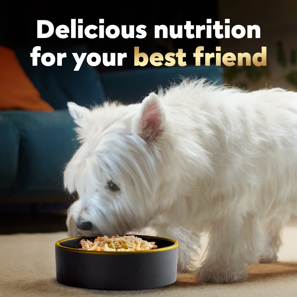 Cesar Wholesome Bowls Chicken, Apple & Sweet Potato Wet Dog Food Adult, 3 Oz