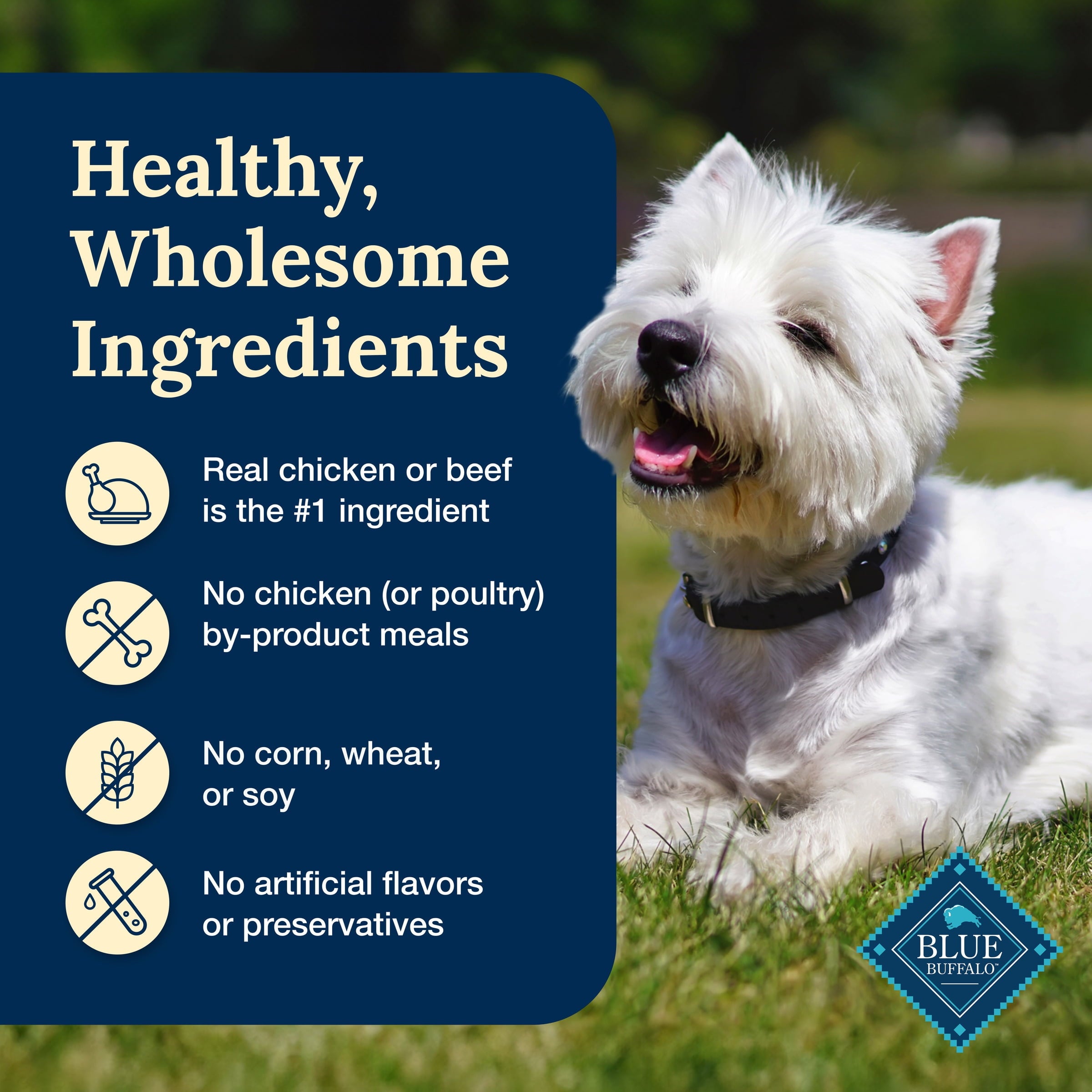 (3 pack) Blue Buffalo Delectables Natural Wet Dog Food Topper Variety Pack, Lamb & Turkey Dinner 3oz (12 Pack - 6 of Each Flavor)