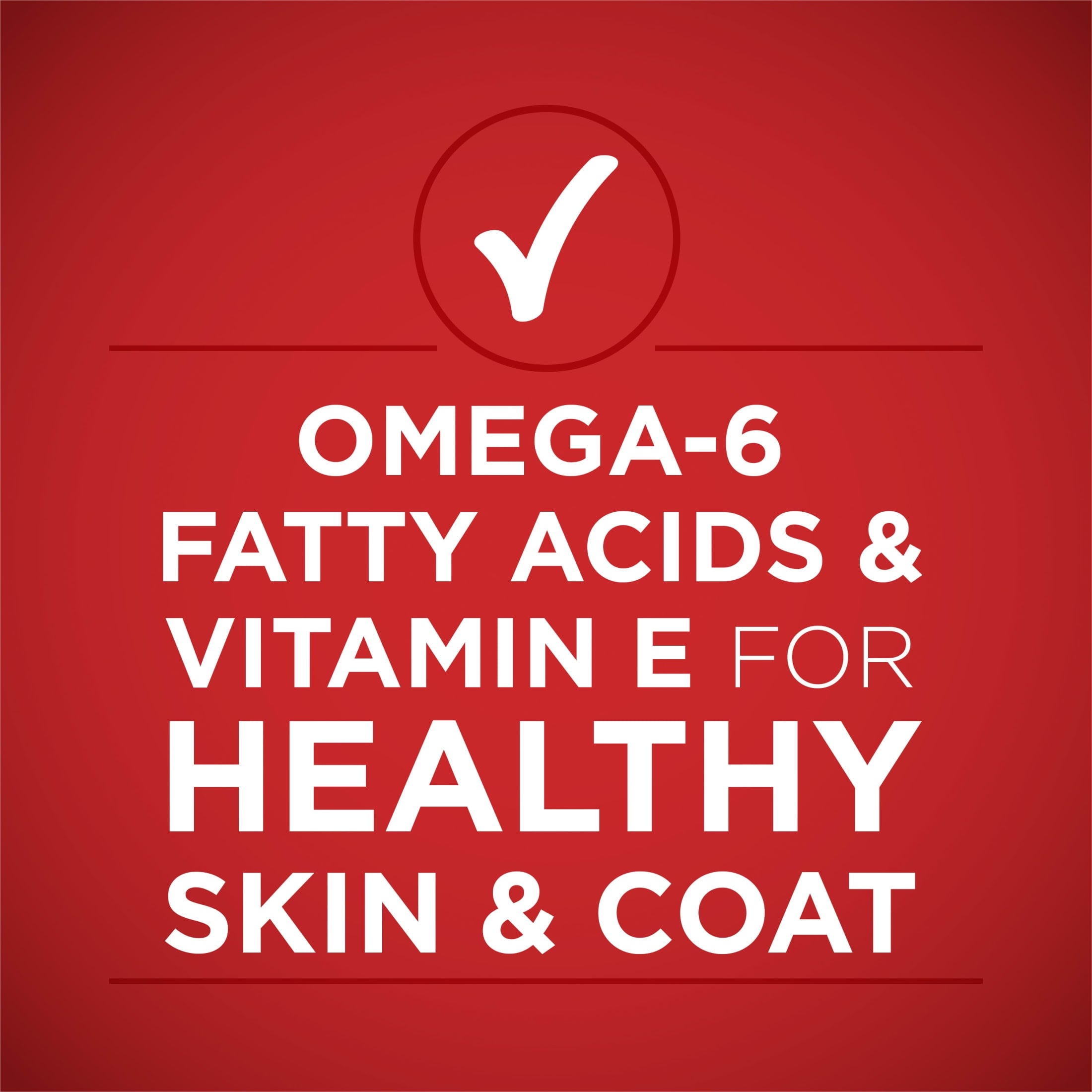 (3 pack) Purina ONE Plus Tender Cuts in Gravy Skin and Coat Chicken and Brown Rice Entree Natural with Added Vitamins and Minerals Wet Dog Food, 13 oz Can