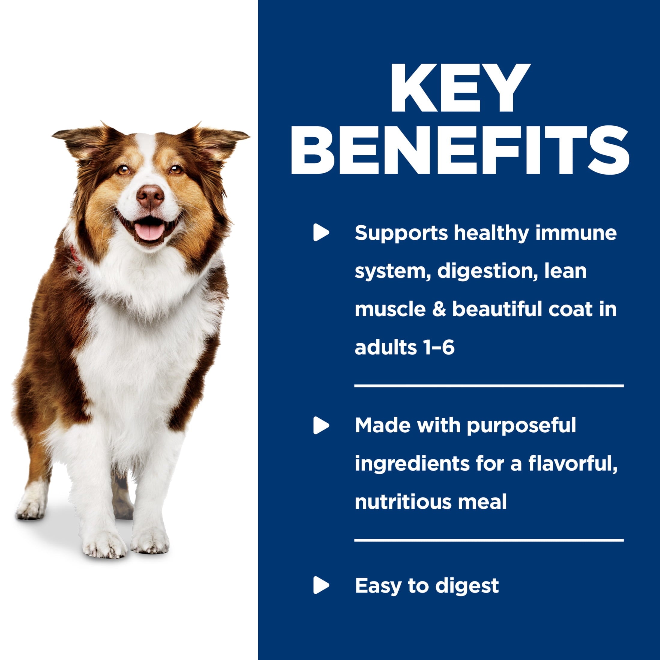 Hill's Science Diet Healthy Cuisine Roasted Chicken Stew Wet Dog Food, 12.5oz Can 12pk