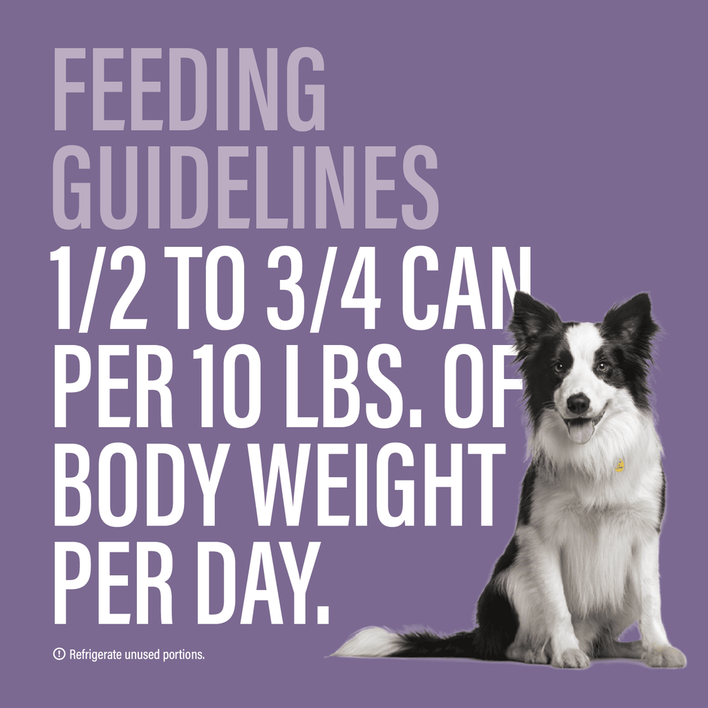 Chewer's Joy Variety Pack Paté Dinner for Dogs (24 Cans, 85g) – Beef & Chicken, Beef & Vegetables, Chicken & Salmon, Chicken & Rice – Natural Wet Dog Food, Complete & Balanced