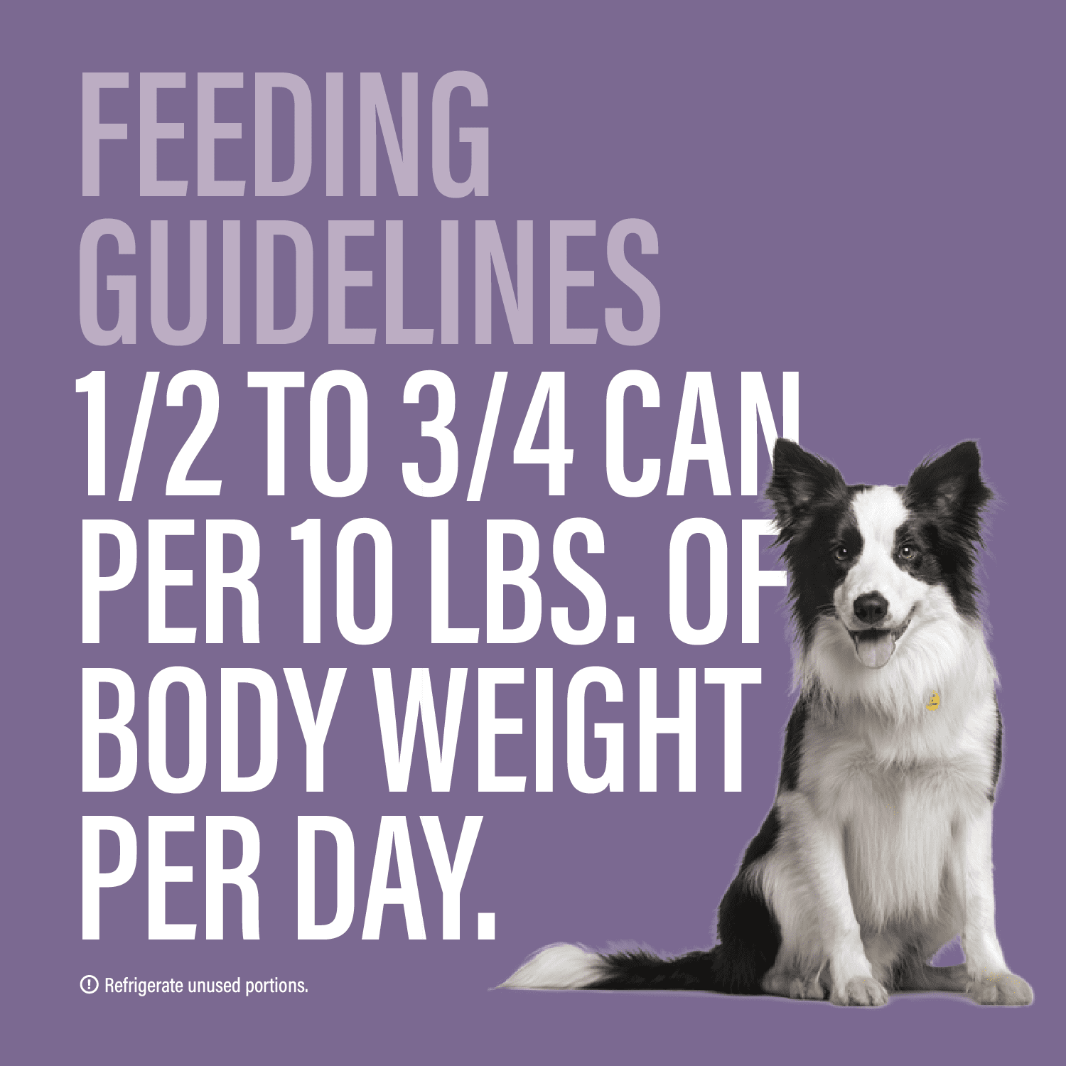 Chewer's Joy Variety Pack Paté Dinner for Dogs (12 Cans, 400g) – Beef & Chicken, Beef & Vegetables, Chicken & Salmon, Chicken & Rice – Natural Wet Dog Food, Complete & Balanced