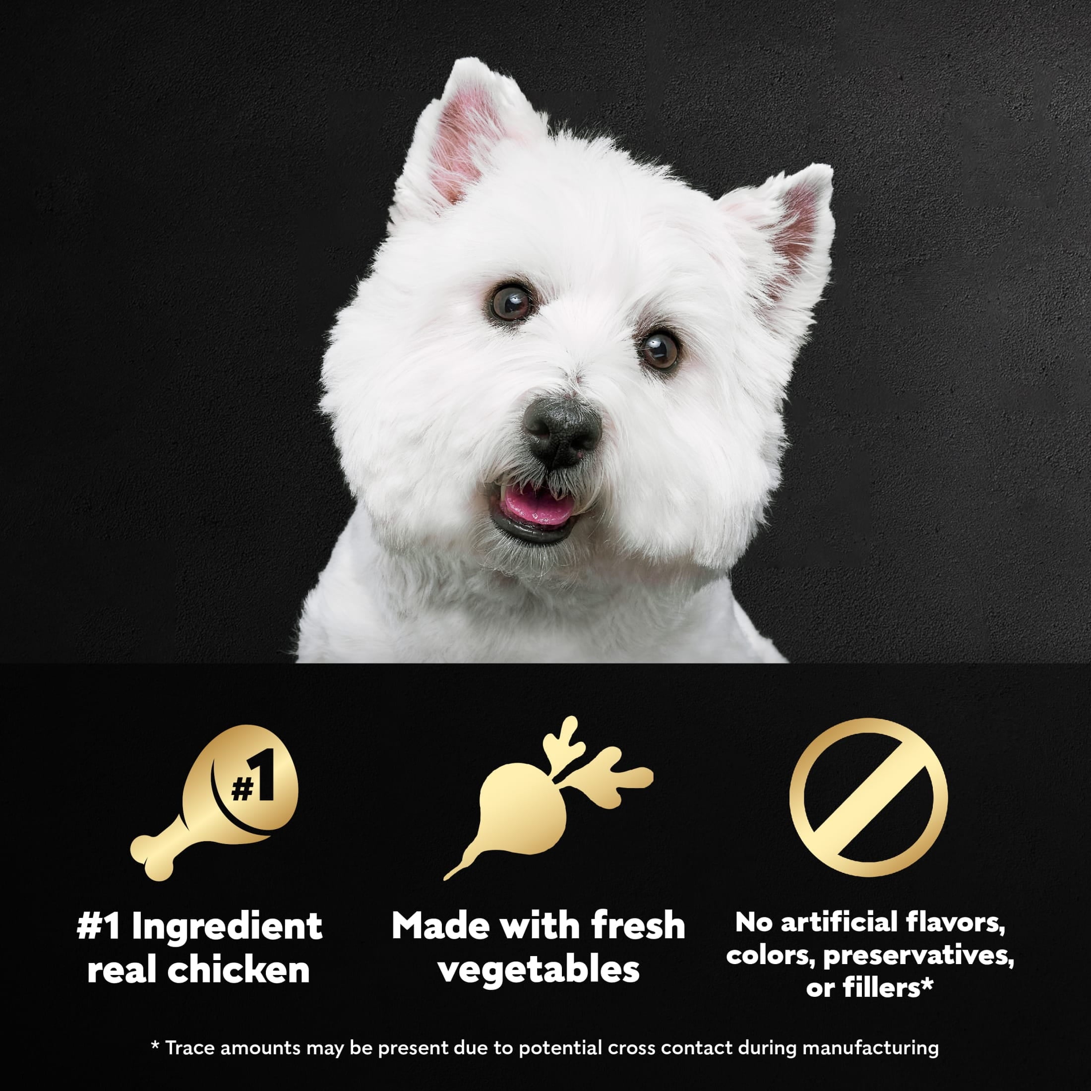 Cesar Wholesome Bowls Chicken, Apple & Sweet Potato Wet Dog Food Adult, 3 Oz