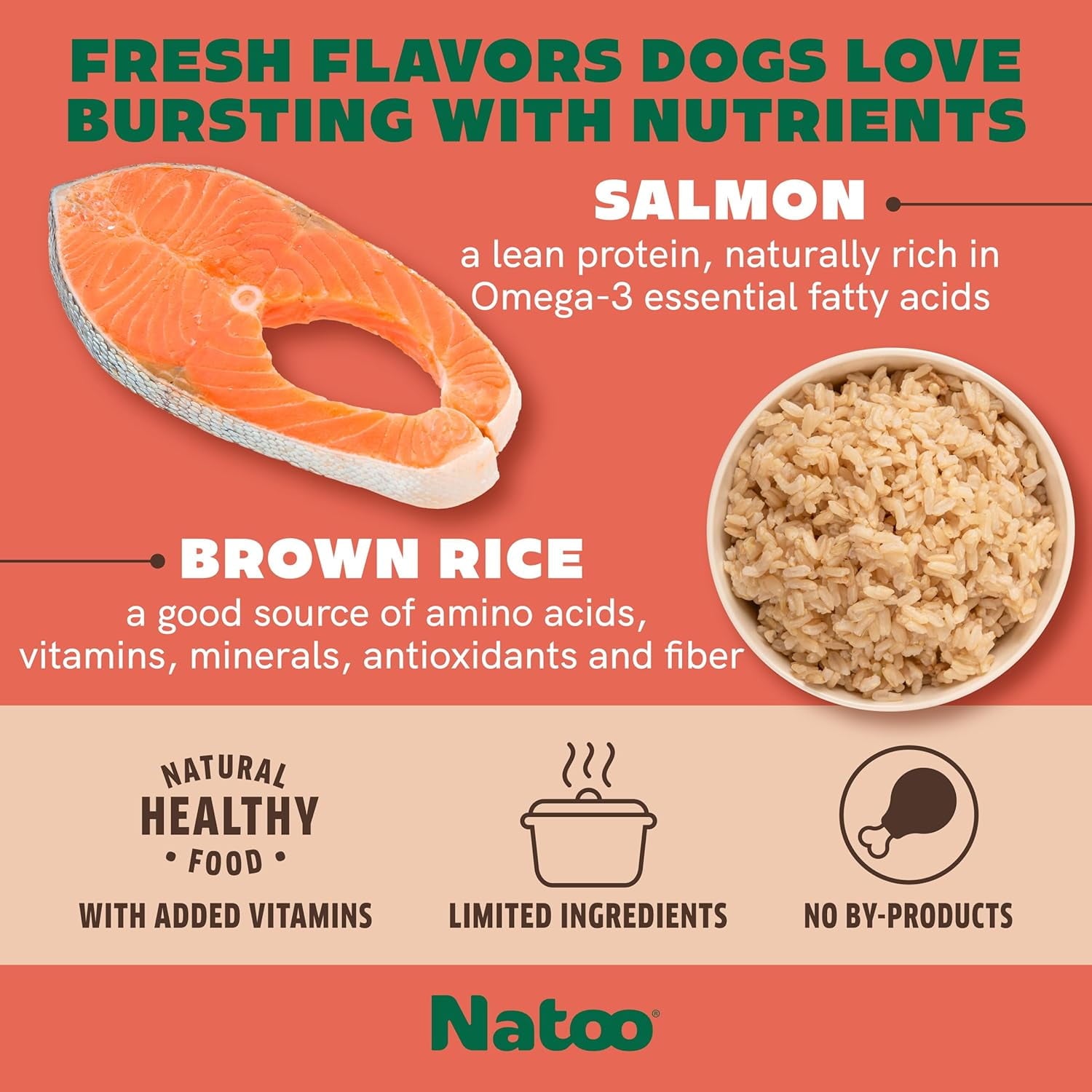 NATOO Dog Food Topper for Picky Eaters & Dog Treat (Salmon & Brown Rice), Wet Meal Enhancer for Adults & Puppies, Limited Ingredient, 3 oz (Case of 20)