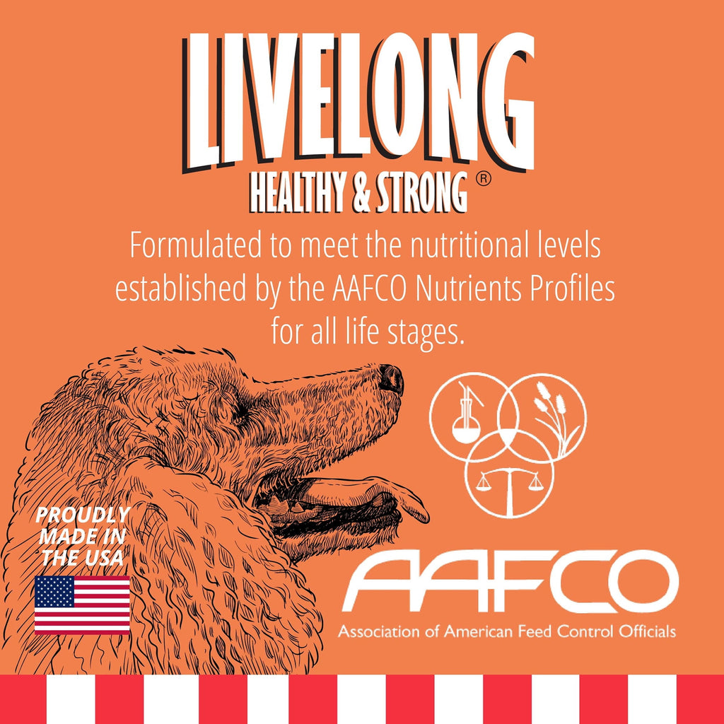 Livelong Healthy & Strong: 12 Pack: Salmon & Sweet Potato Recipe - 12.5oz Cans, Wet Dog Food, High Protein, All Natural, No Preservatives,