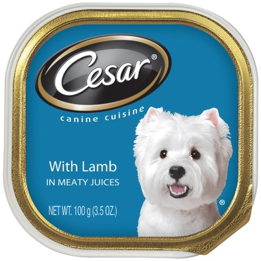 Cesar Cuisine Lamb Canine Dog Food (Pack of 8)