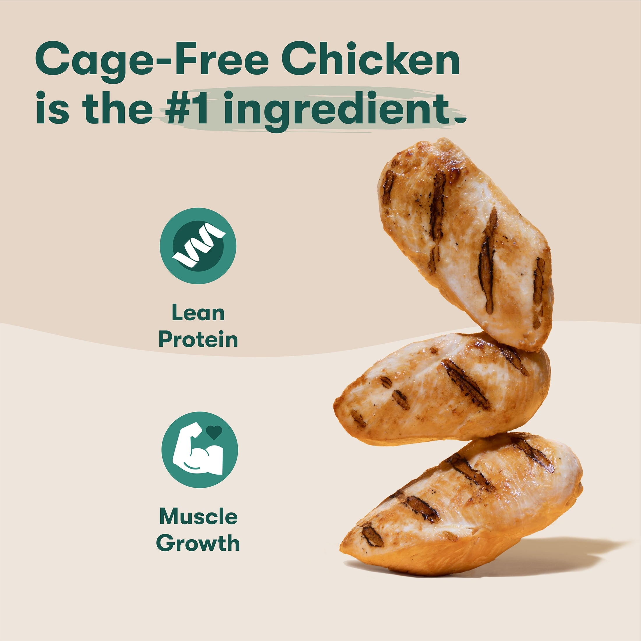 (6 pack) Jinx Homemades Chicken Recipe Wet Natural Dog Food, 9 oz. Pouch