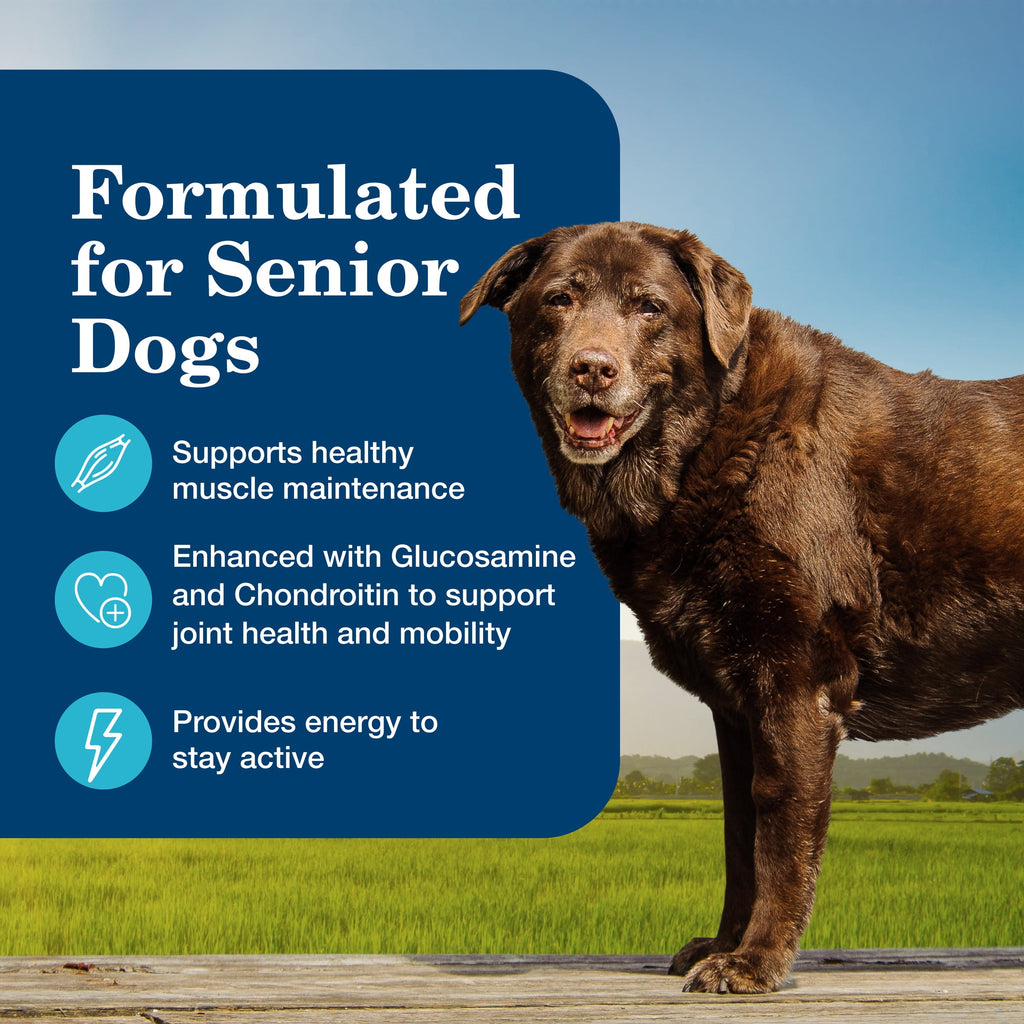 (6 pack) Blue Buffalo Homestyle Recipe Senior Wet Dog Food, Chicken Dinner, 12.5-oz. Can