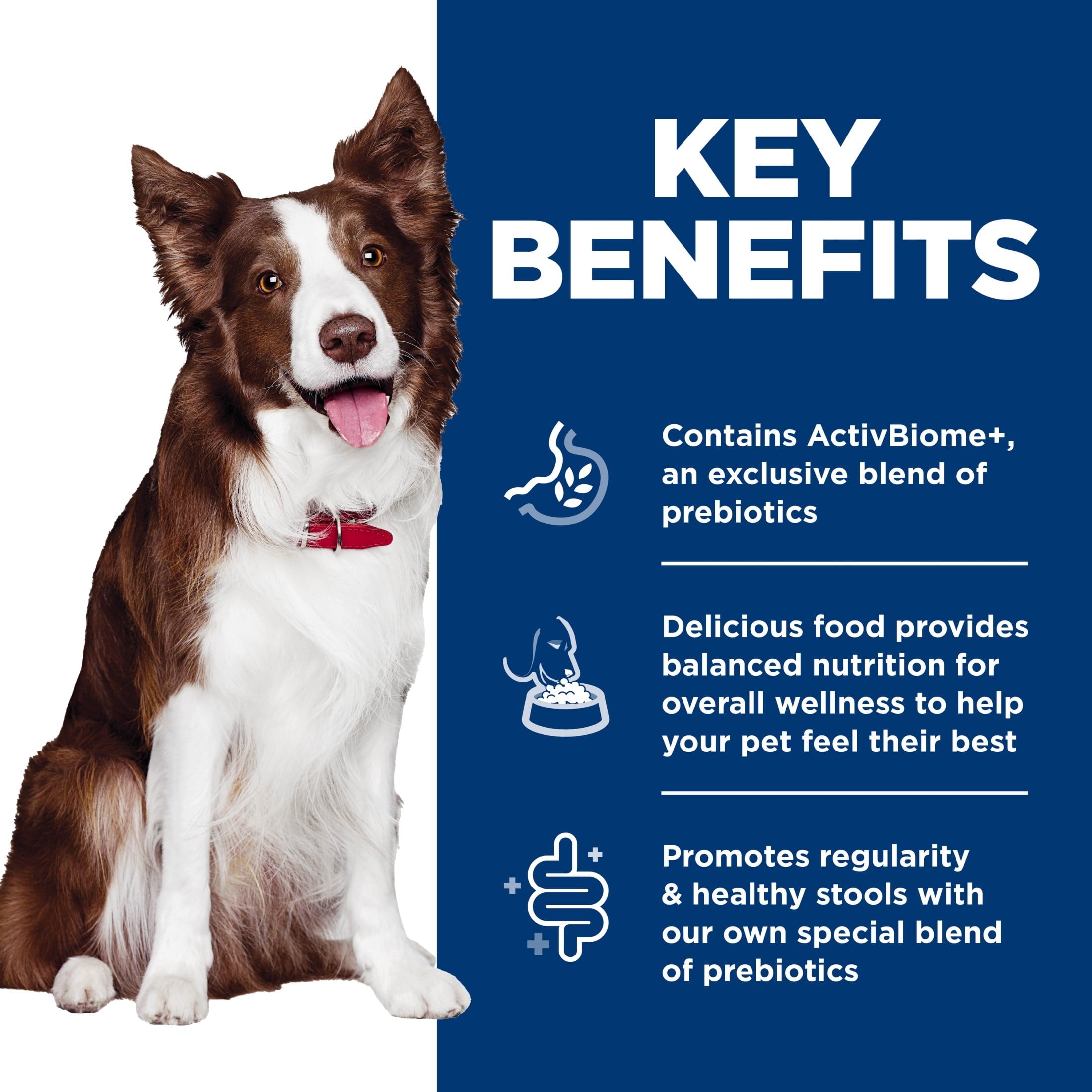 Hill's Science Diet Perfect Digestion Chicken & Rice Wet Dog Food, 12.8oz Can 12pk