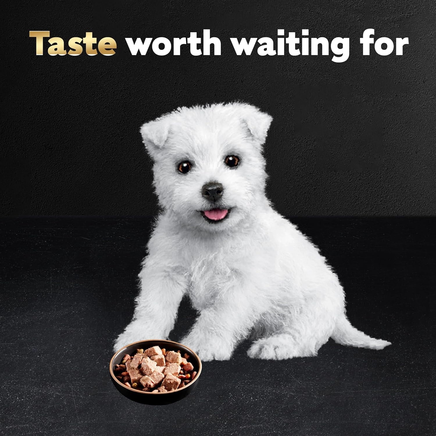 CESAR Puppy Soft Wet Dog Food Classic Loaf in sauce Chicken & Beef Recipe, 3.5 Ounce (Pack of 2) Easy Peel Trays