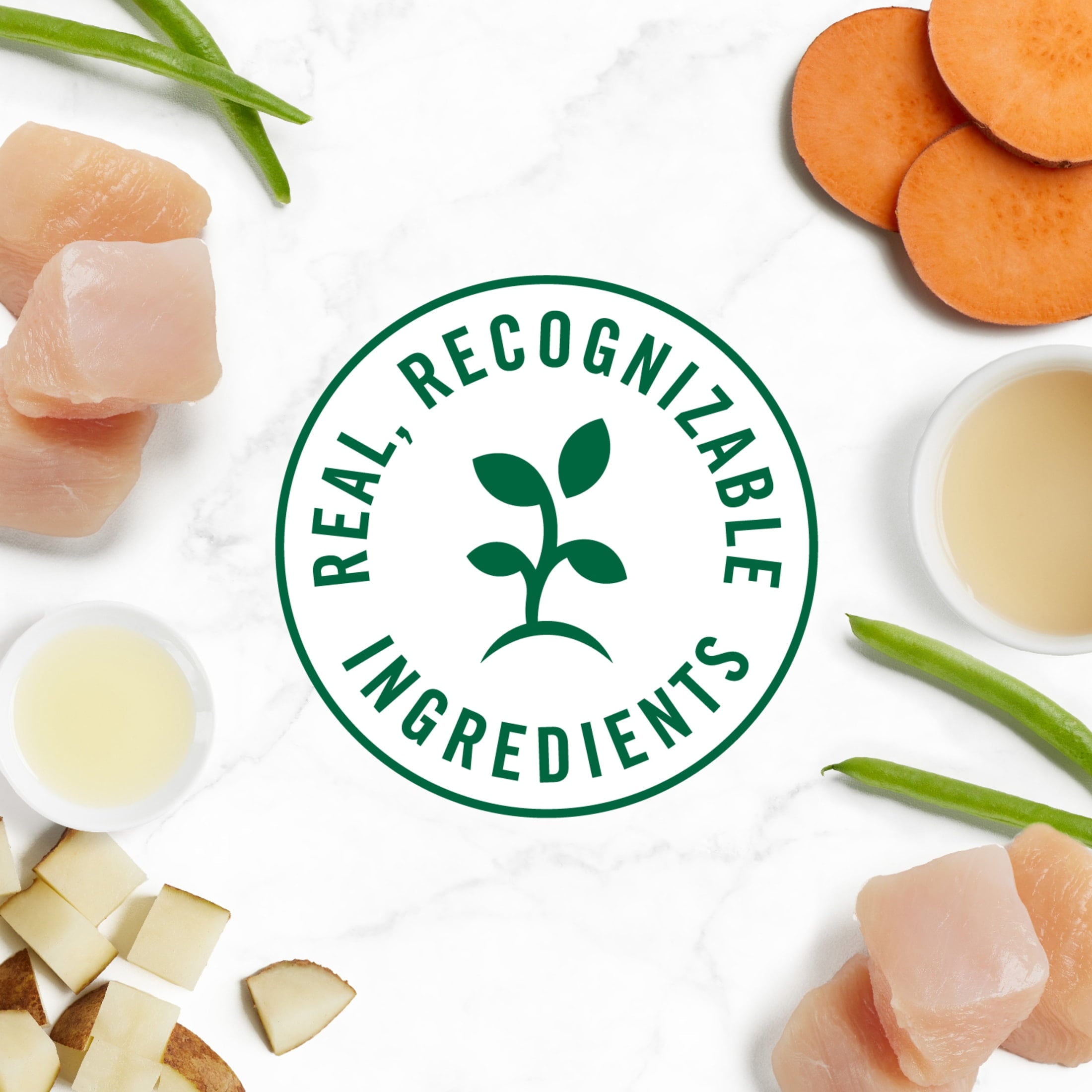 (3 pack) Nutro So Simple Chicken Recipe In Bone Broth Wet Dog Meal Complement, 2 Oz Tray