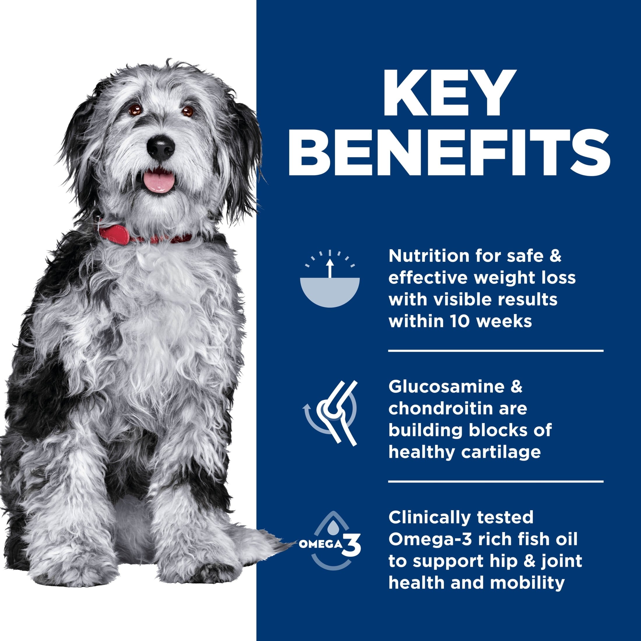 Hill's Science Diet Perfect Weight & Joint Support Hearty Vegetables & Tuna Wet Dog Food, 12.5oz Can 12pk