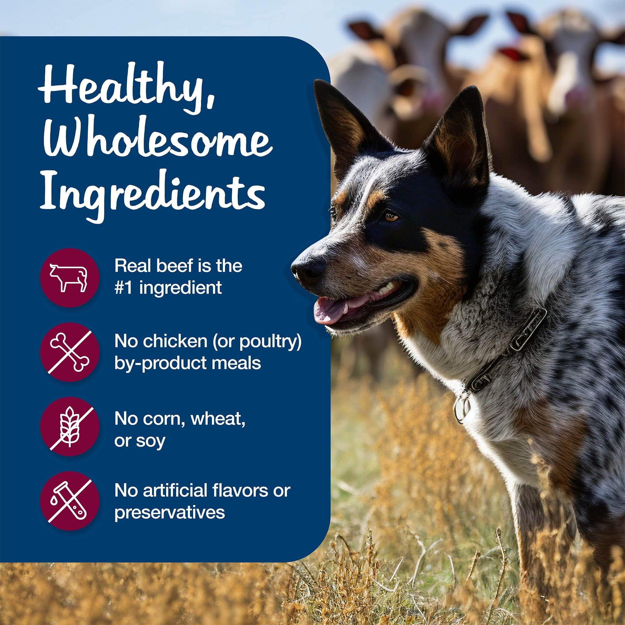 Blue Buffalo Blue's Stew Grain-Free Wet Dog Food, Hearty Beef Stew, 12.5-oz. Can