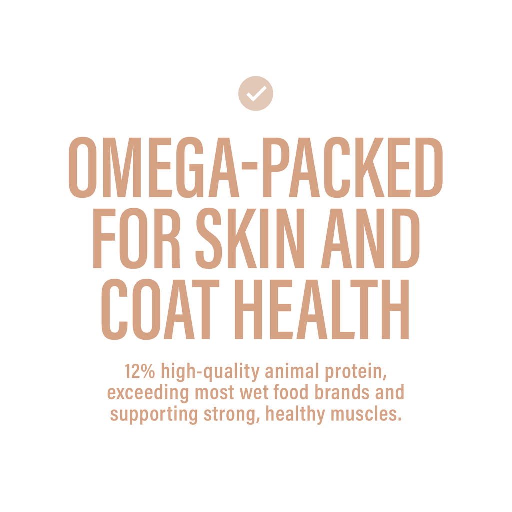 Chewer's Joy Variety Pack Paté Dinner for Dogs (12 Cans, 400g) – Beef & Chicken, Beef & Vegetables, Chicken & Salmon, Chicken & Rice – Natural Wet Dog Food, Complete & Balanced