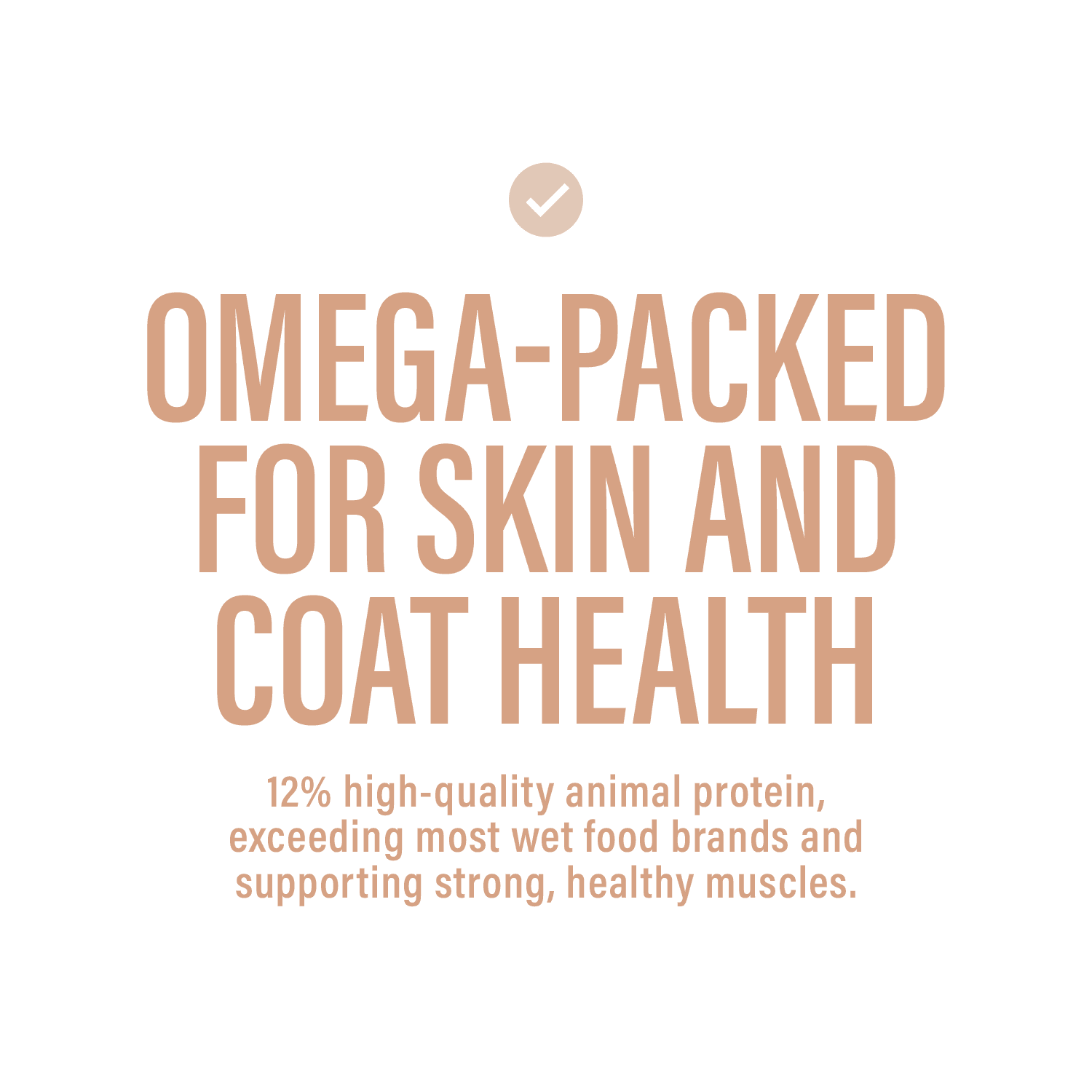 Chewer's Joy Variety Pack Paté Dinner for Dogs (12 Cans, 400g) – Beef & Chicken, Beef & Vegetables, Chicken & Salmon, Chicken & Rice – Natural Wet Dog Food, Complete & Balanced