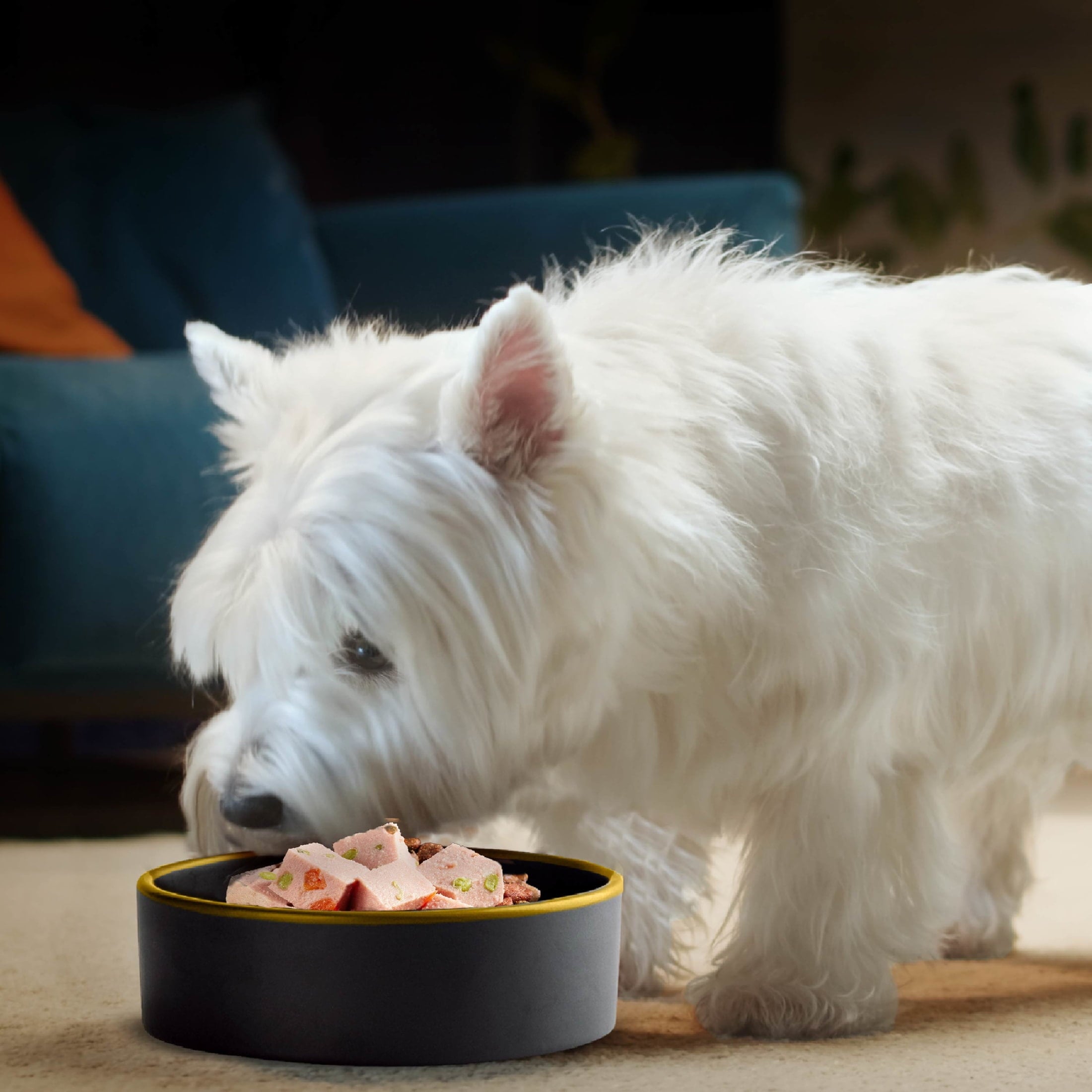 Cesar Fresh Chef Chicken With Peas And Carrots Refrigerated Dog Food Adult, 1.3 Lb. Roll