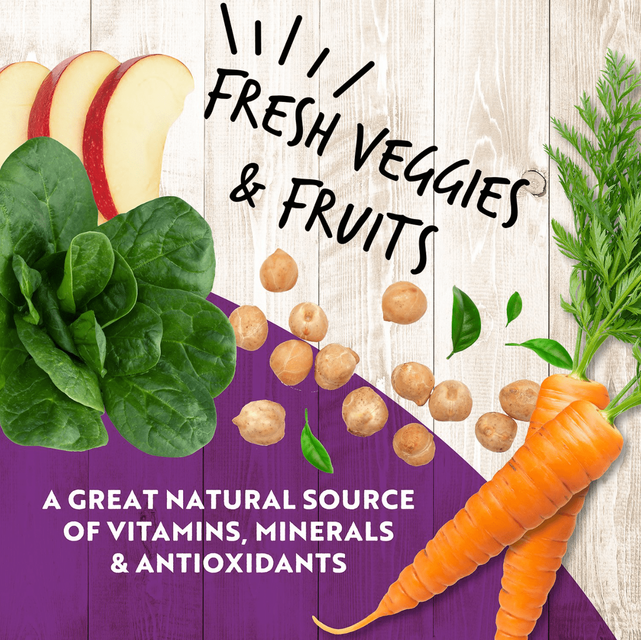 Earthborn Holistic Grain Free K95 Meat Protein Wet Dog Food Lamb, 13 oz