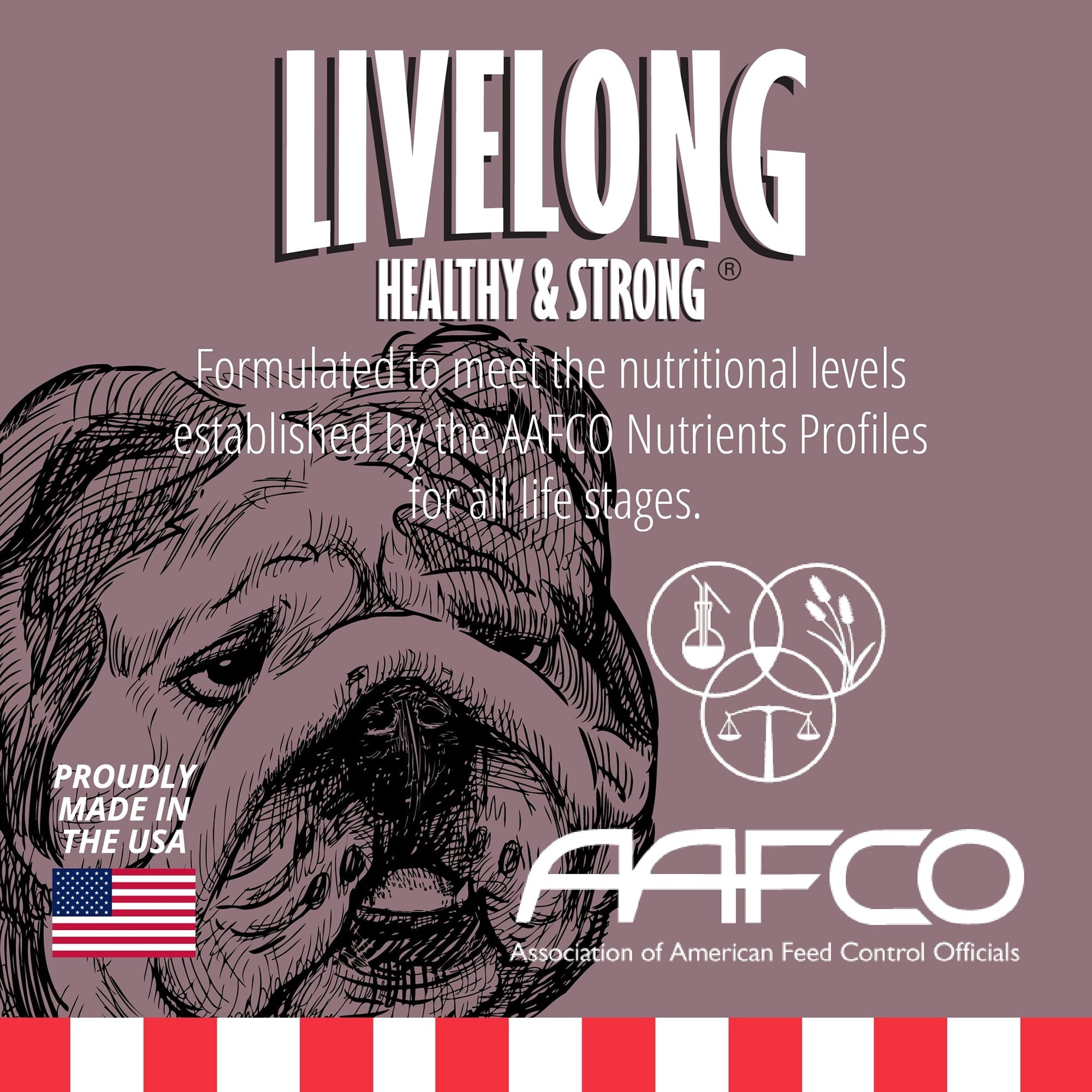 Livelong Healthy & Strong: 12 Pack: Bison/Buffalo & Sweet Potato Recipe - 12.5oz Cans, Wet Dog Food, High Protein, All Natural, No Preservatives,