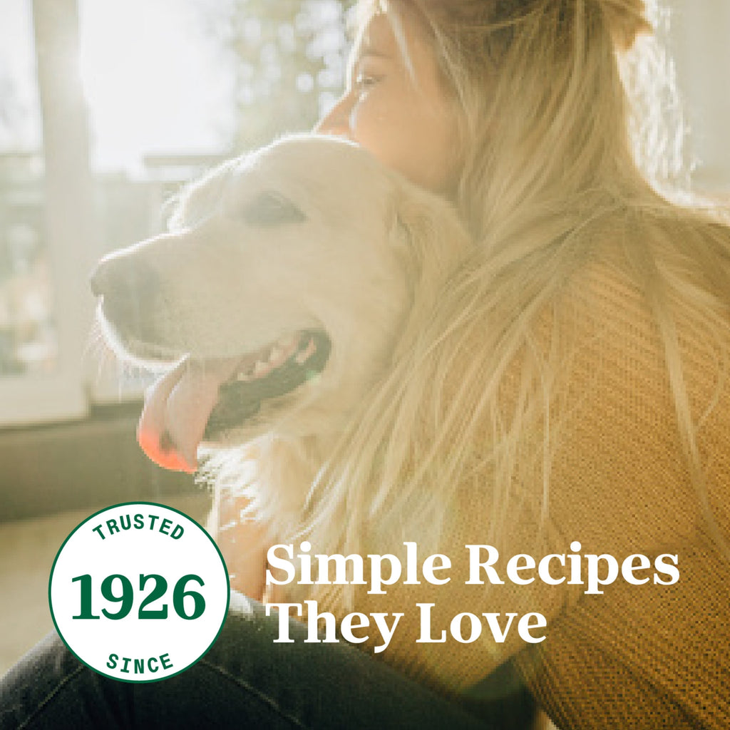 (3 pack) Nutro So Simple Chicken Recipe In Bone Broth Wet Dog Meal Complement, 2 Oz Tray