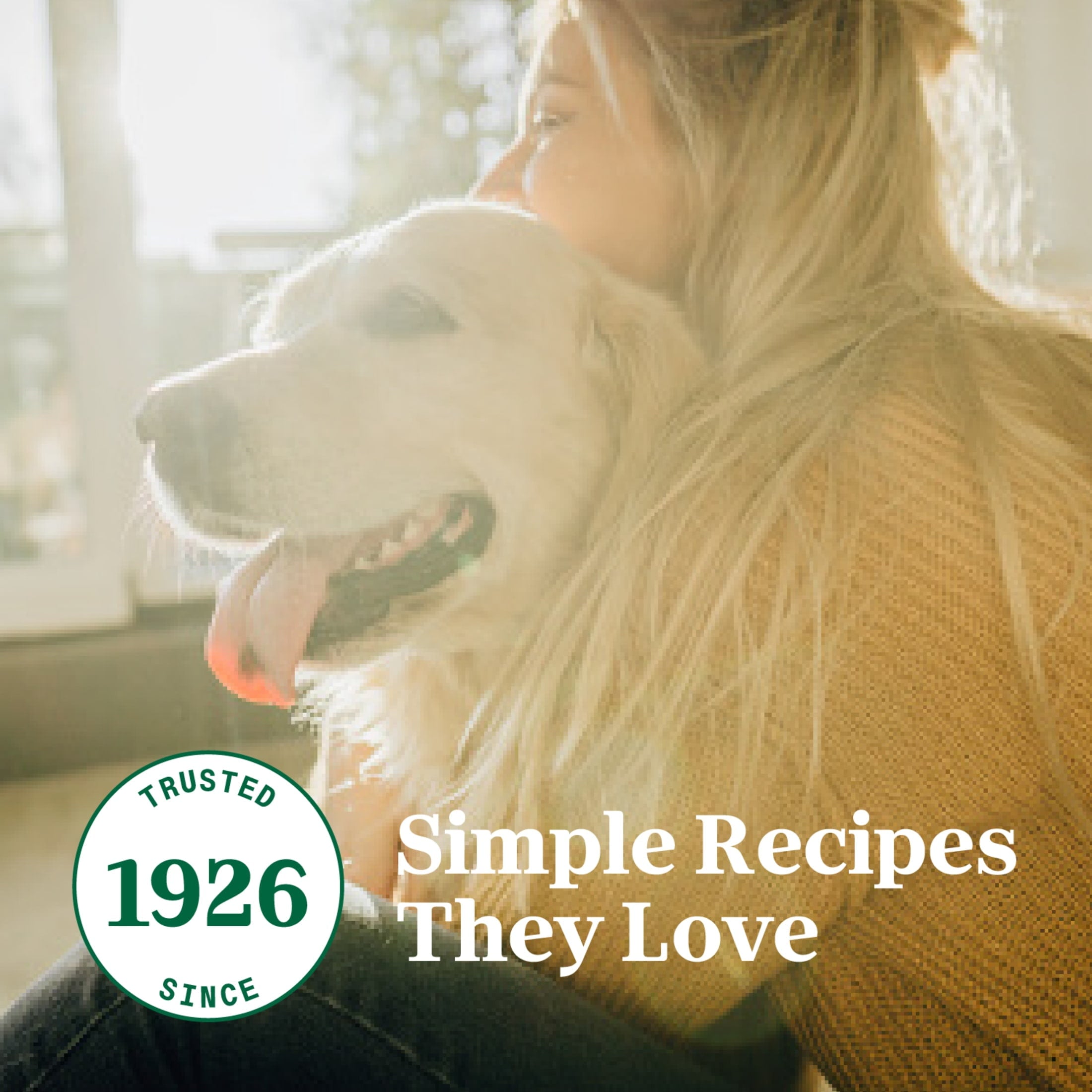 (3 pack) Nutro So Simple Chicken Recipe In Bone Broth Wet Dog Meal Complement, 2 Oz Tray