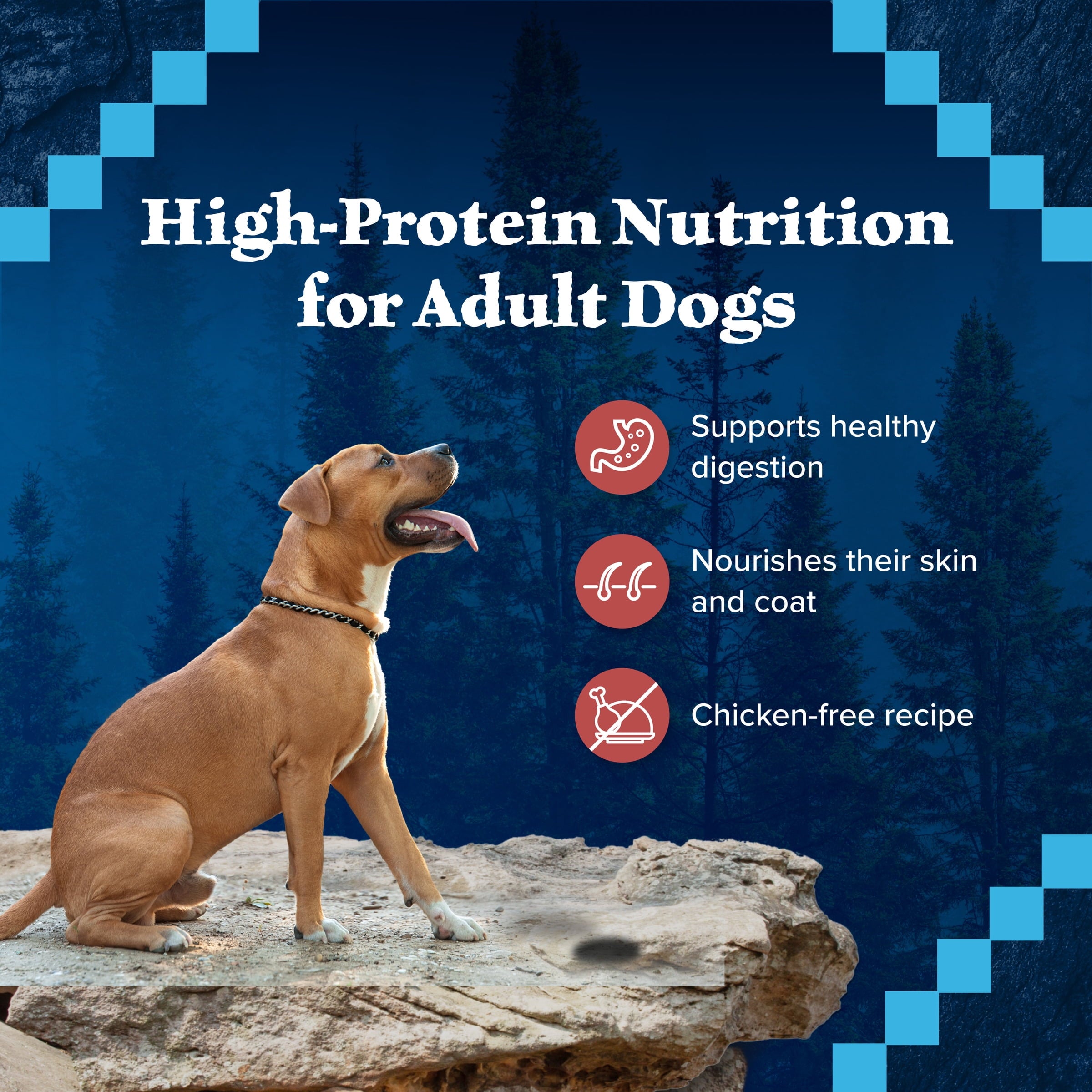 Blue Buffalo Wilderness Rocky Mountain Recipe High Protein Red Meat Wet Dog Food for Adult Dogs, Grain-Free, 12.5 oz. Can