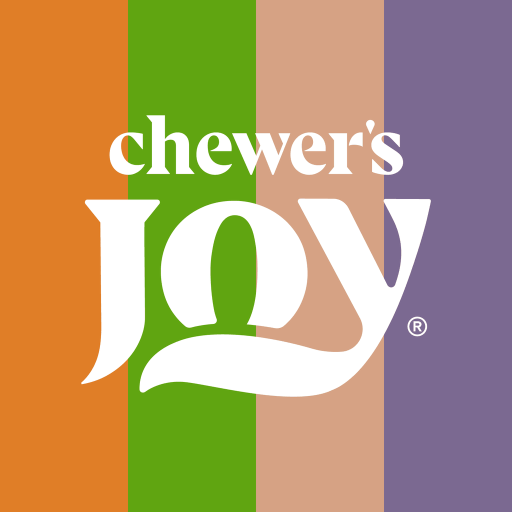 Chewer's Joy Variety Pack Paté Dinner for Dogs (24 Cans, 85g) – Beef & Chicken, Beef & Vegetables, Chicken & Salmon, Chicken & Rice – Natural Wet Dog Food, Complete & Balanced